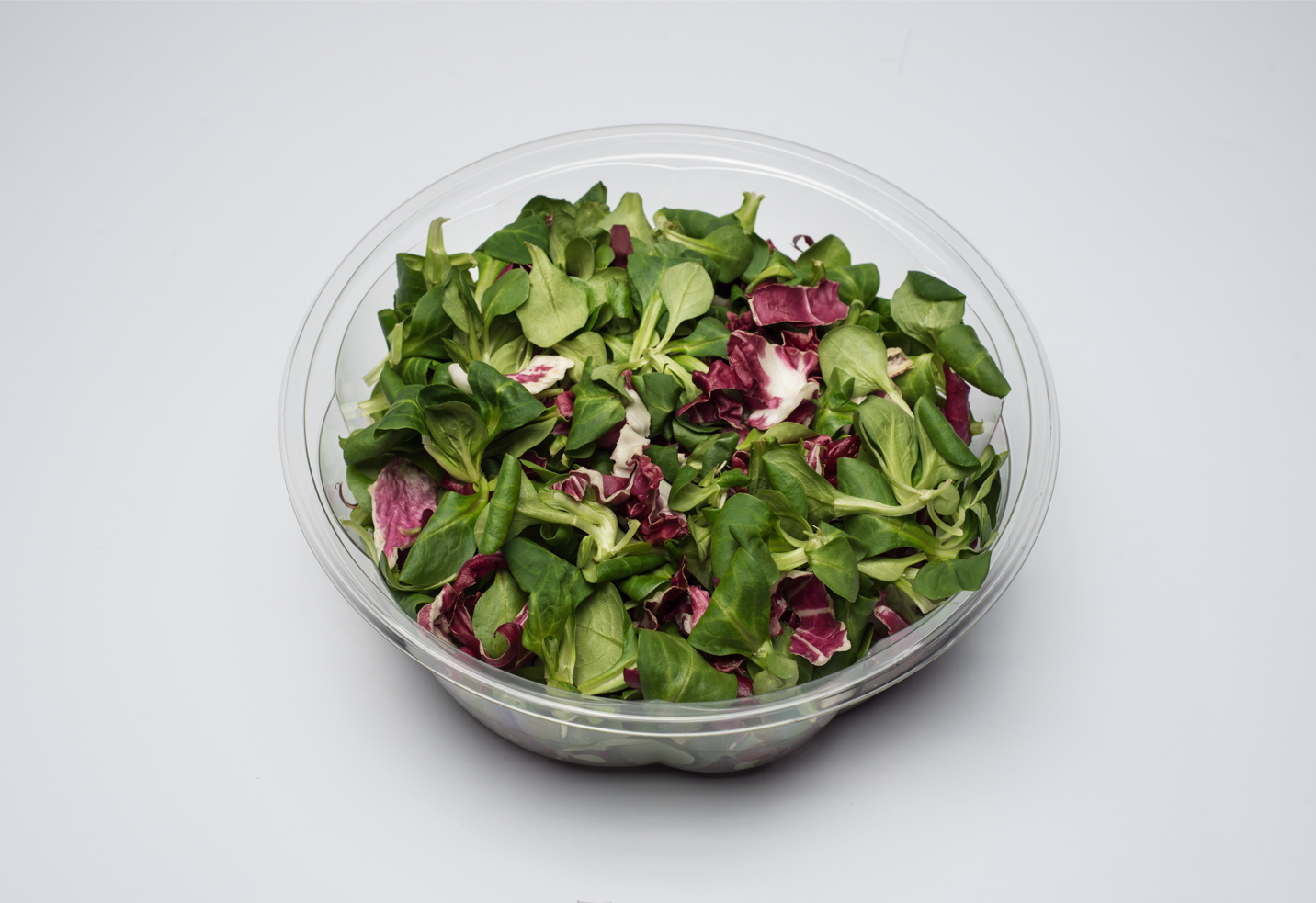 Valeriana + Radicchio